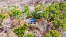 Blue Mountain Chsnt
