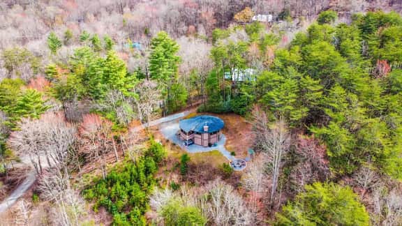 Blue Mountain Chsnt