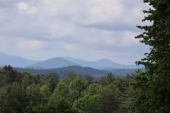 Misty Mtn Murphy