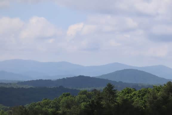 Misty Mtn Murphy