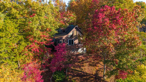 Green Forest Lodge