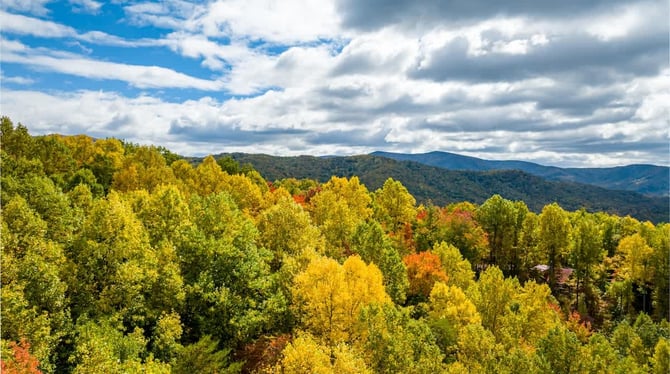 Easy Booking, Flexible Cabin Options, and Mountain Views